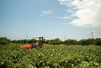 Incentivos y beneficios contributivos para tu agronegocio en Puerto Rico (2026) 
