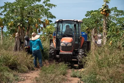 Agroturismo, experiencias como oportunidad para que tu agronegocio genere ingresos extra 